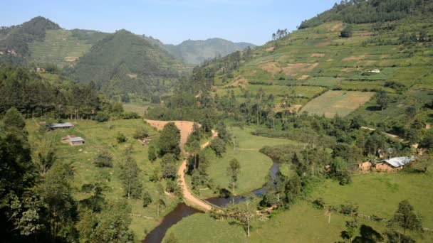 Paisagem agrícola em Uganda — Vídeo de Stock