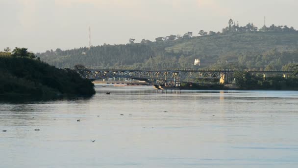 Río Nilo en Uganda — Vídeo de stock