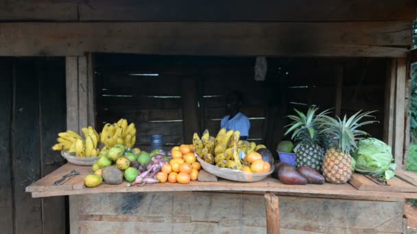 Straßenszene mit Markt in Uganda. — Stockvideo