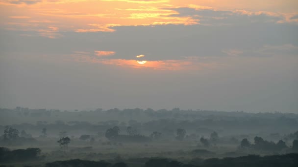 Savanna en una niebla matutina — Vídeos de Stock