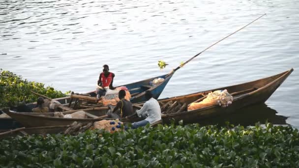 Pescadores en los barcos del Nilo — Vídeo de stock