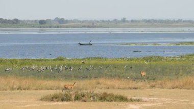 Balıkçı teknesine Murchison Falls Milli Parkı, Tarih
