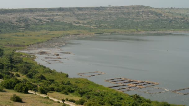 Cenário de produção de sal em torno do Canal de Kazinga — Vídeo de Stock