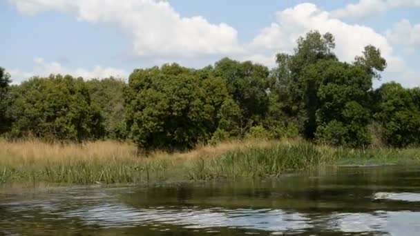 우간다에 강 나 일 해안 — 비디오