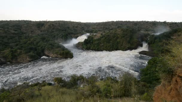 Мерчісон водоспад в Уганді — стокове відео