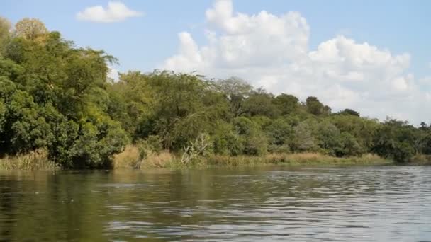 Costa del río Nilo en Uganda — Vídeo de stock