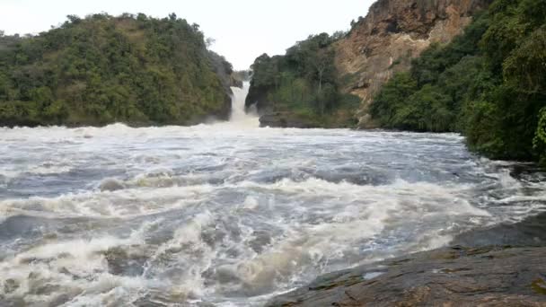 Murchison falls in Oeganda — Stockvideo