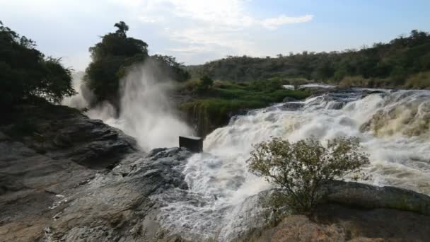 默奇森瀑布在乌干达 — 图库视频影像