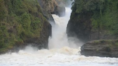 Murchison Uganda'da düşüyor 