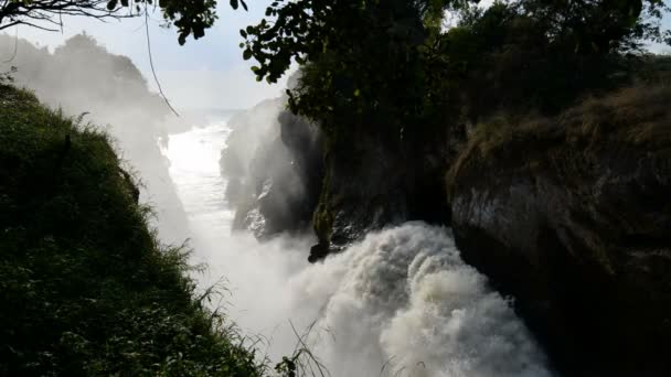 Murchison falls v Ugandě — Stock video