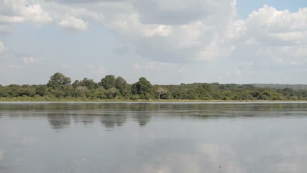 Costa del río Nilo en Uganda — Vídeo de stock