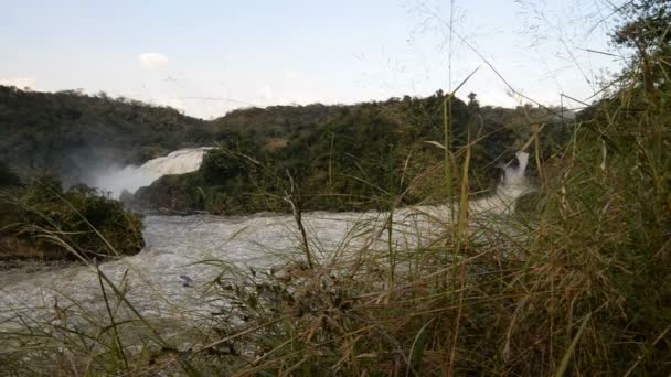 Мерчісон водоспад в Уганді — стокове відео