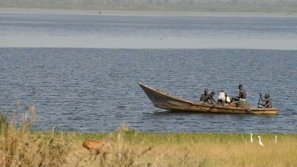 Pescatori sulla loro barca al Murchison Falls National Park — Video Stock