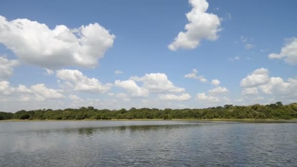 Ποταμό Νείλο ακτή στην Ουγκάντα — Αρχείο Βίντεο