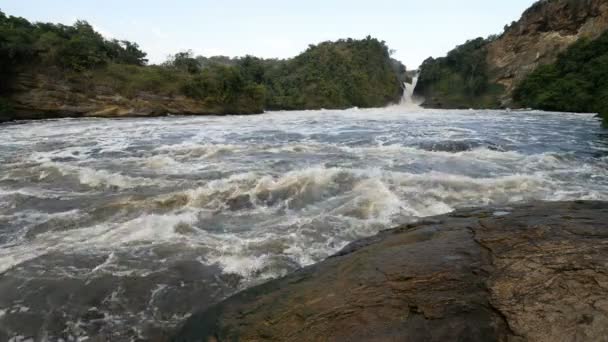 Cascate Murchison in Uganda — Video Stock