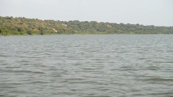 Kazinga Channel en Ouganda — Video