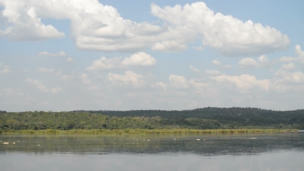 Costa del río Nilo en Uganda — Vídeo de stock