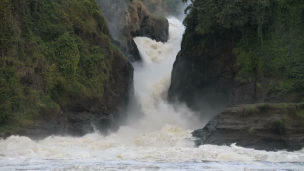 Murchison falls in Oeganda — Stockvideo