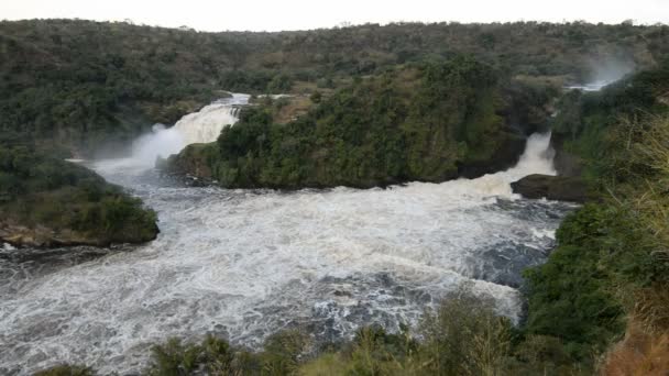 Murchison Falls em Uganda — Vídeo de Stock