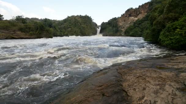 Murchison Falls em Uganda — Vídeo de Stock