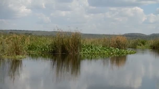 Costa do rio Nilo em Uganda — Vídeo de Stock