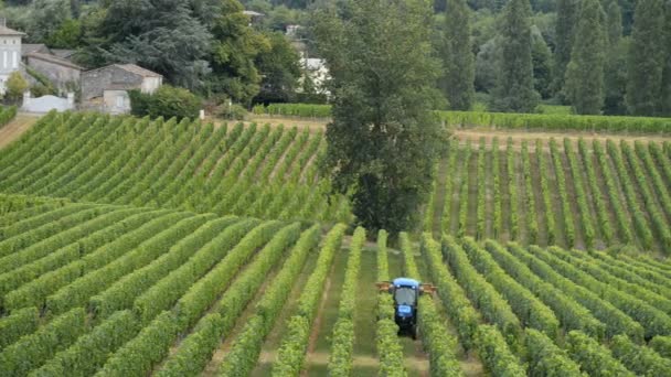 Tractor en el trabajo durante la cosecha en el viñedo — Vídeos de Stock