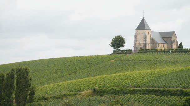 Vigneto Champagne e vecchia chiesa sulla collina — Video Stock