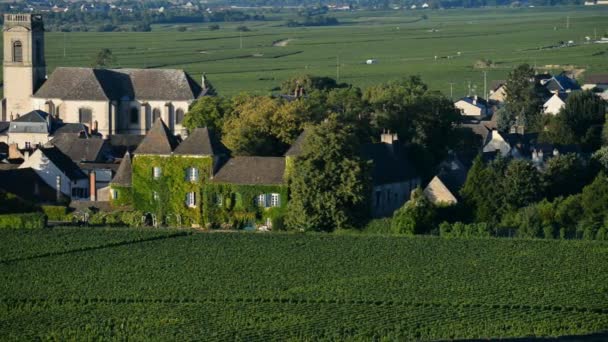 Pommard en de wijngaarden in Côte de Beaune — Stockvideo