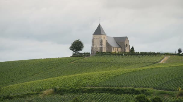 Vinhedo de champanhe e igreja velha na colina — Vídeo de Stock