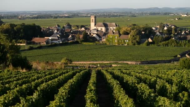 Pommard en de wijngaarden in Côte de Beaune — Stockvideo