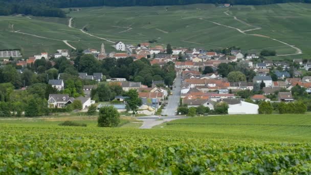 Vinhedos de champanhe perto da cidade Epernay — Vídeo de Stock