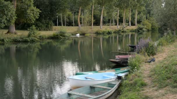 Boten op de rivier Svre Niortaise — Stockvideo