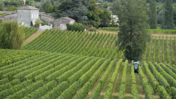 Tractor en el trabajo durante la cosecha en el viñedo — Vídeos de Stock