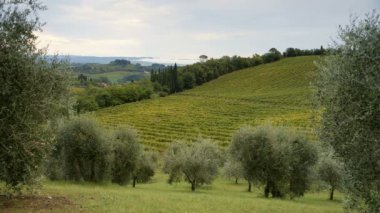 Tuscany peyzaj San Gimignano yakınındaki şehir