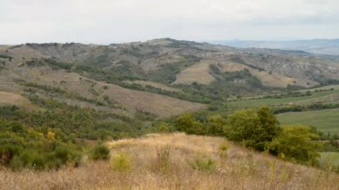Montepulciano city İtalya yakınındaki üzüm bağları