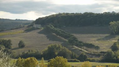 Toskana peyzaj san gimignano yakınındaki 