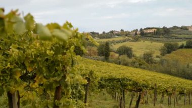 Tuscany peyzaj San Gimignano yakınındaki şehir