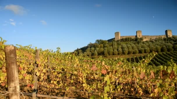 Viñedos y fortaleza de Monteriggioni en Italia — Vídeos de Stock