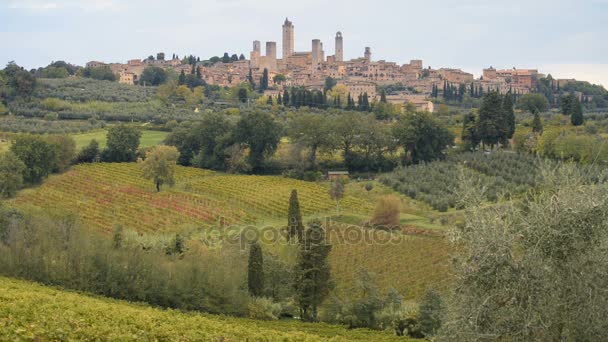 Medieval town of San Gimignano in Italy — Stock Video
