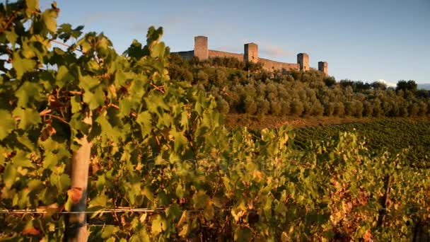 Виноградники и форт Монтериджиони в Италии — стоковое видео