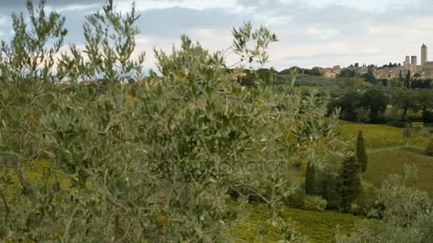 Tuscany peyzaj San Gimignano yakınındaki şehir — Stok video