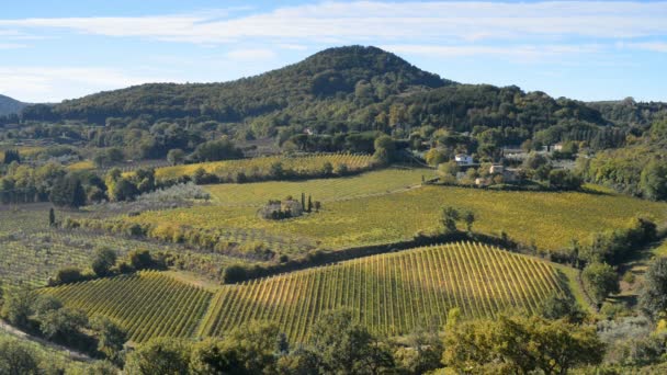 Weinberge in der Nähe der Stadt Montepulciano in Italien — Stockvideo