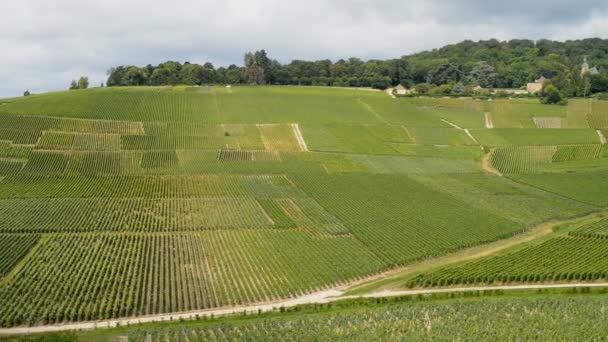 Vignobles de Champagne à proximité de la commune Epernay en France 
