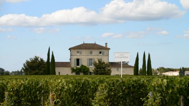 Petrus van de wijngaarden in de Pomerol, Frankrijk — Stockvideo