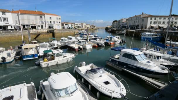 Boten en jachten in de haven — Stockvideo