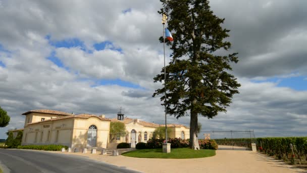 Chateau Petrus Pomerol, Fransa içinde — Stok video