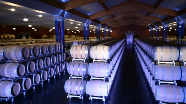 Intérieur de la cave à vin — Video