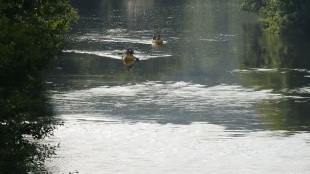 Kayakers sur la rivière en France — Video