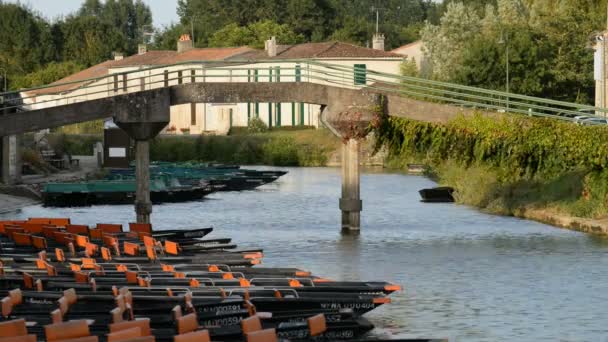 Barcos en el río en el Coulon, Francia — Vídeos de Stock