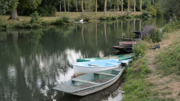 Lodě na pobřeží řeky v městě Coulon — Stock video